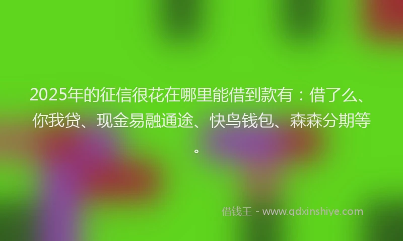2025年的征信很花在哪里能借到款有：借了么、你我贷、现金易融通途、快鸟钱包、森森分期等。
