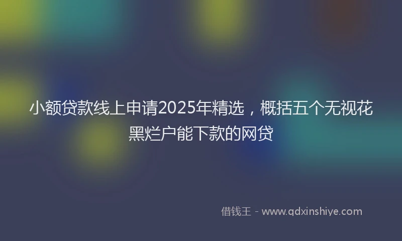 小额贷款线上申请2025年精选，概括五个无视花黑烂户能下款的网贷