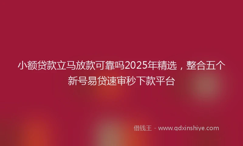 小额贷款立马放款可靠吗2025年精选，整合五个新号易贷速审秒下款平台