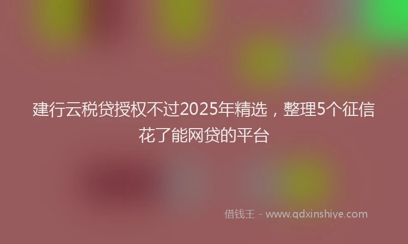 建行云税贷授权不过2025年精选，整理5个征信花了能网贷的平台