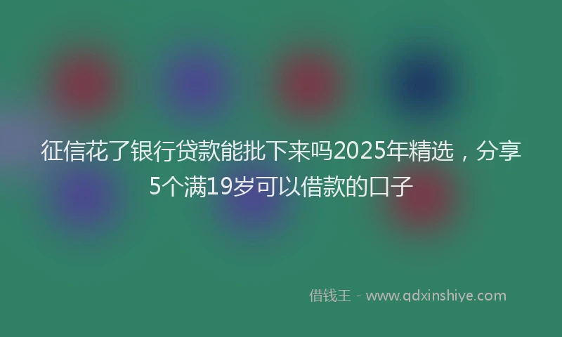 征信花了银行贷款能批下来吗2025年精选，分享5个满19岁可以借款的口子