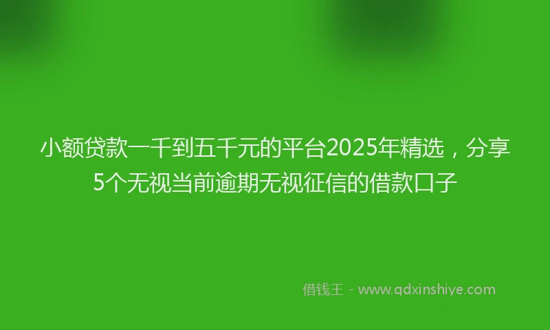 小额贷款一千到五千元的平台2025年精选，分享5个无视当前逾期无视征信的借款口子