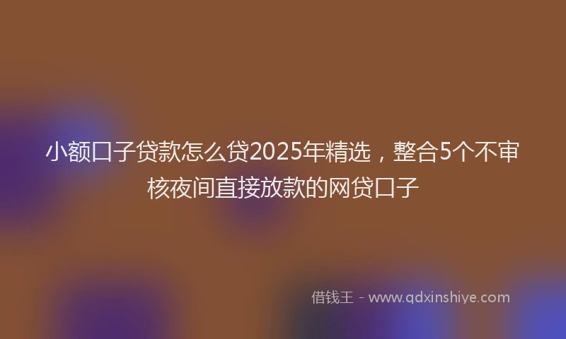 小额口子贷款怎么贷2025年精选，整合5个不审核夜间直接放款的网贷口子
