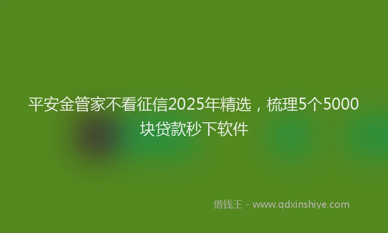 平安金管家不看征信2025年精选，梳理5个5000块贷款秒下软件