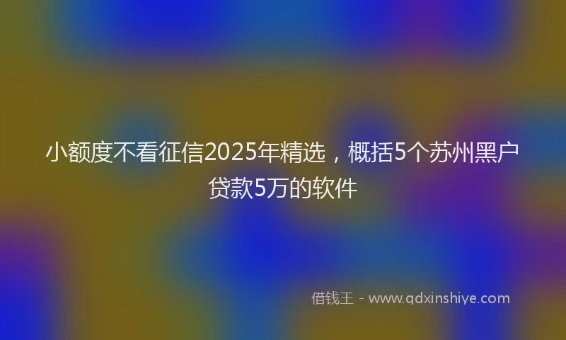 小额度不看征信2025年精选，概括5个苏州黑户贷款5万的软件