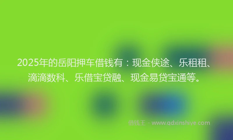 2025年的岳阳押车借钱有：现金侠途、乐租租、滴滴数科、乐借宝贷融、现金易贷宝通等。