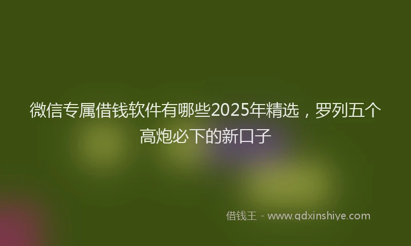 微信专属借钱软件有哪些2025年精选，罗列五个高炮必下的新口子