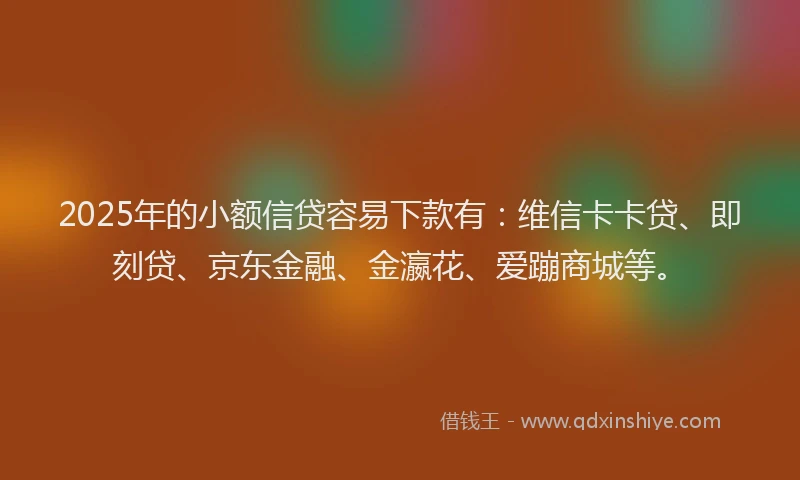2025年的小额信贷容易下款有：维信卡卡贷、即刻贷、京东金融、金瀛花、爱蹦商城等。