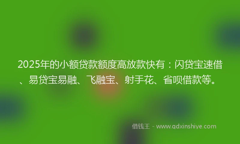2025年的小额贷款额度高放款快有：闪贷宝速借、易贷宝易融、飞融宝、射手花、省呗借款等。