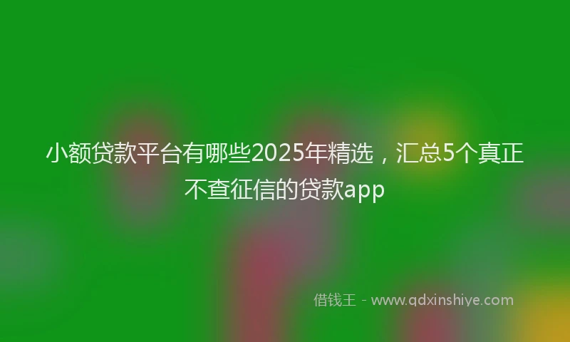 小额贷款平台有哪些2025年精选，汇总5个真正不查征信的贷款app