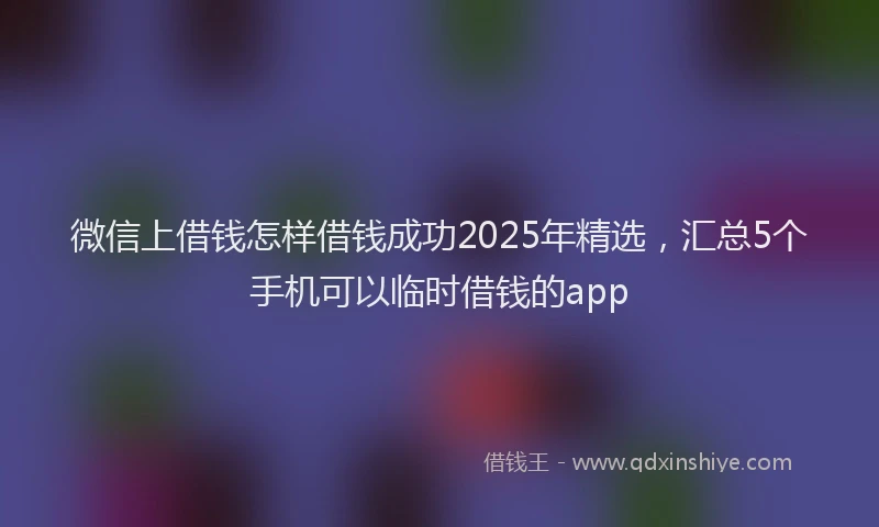 微信上借钱怎样借钱成功2025年精选，汇总5个手机可以临时借钱的app