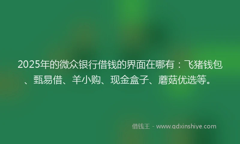 2025年的微众银行借钱的界面在哪有：飞猪钱包、甄易借、羊小购、现金盒子、蘑菇优选等。
