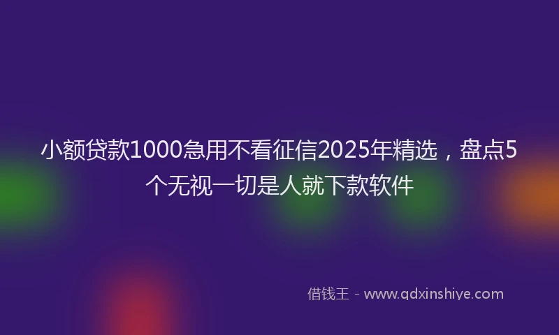 小额贷款1000急用不看征信2025年精选，盘点5个无视一切是人就下款软件