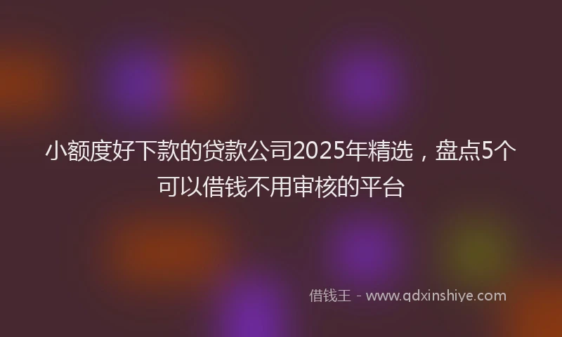 小额度好下款的贷款公司2025年精选，盘点5个可以借钱不用审核的平台
