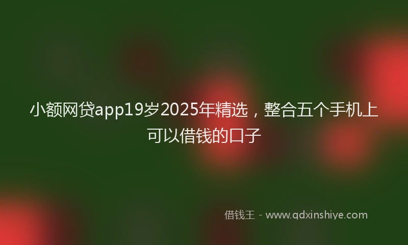 小额网贷app19岁2025年精选，整合五个手机上可以借钱的口子