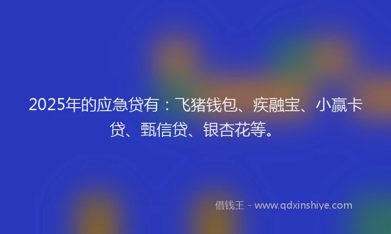2025年的应急贷有：飞猪钱包、疾融宝、小赢卡贷、甄信贷、银杏花等。