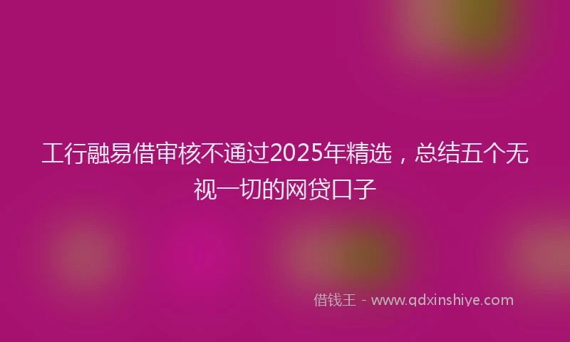 工行融易借审核不通过2025年精选，总结五个无视一切的网贷口子
