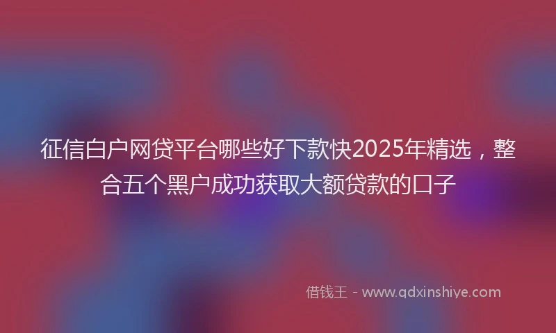 征信白户网贷平台哪些好下款快2025年精选，整合五个黑户成功获取大额贷款的口子