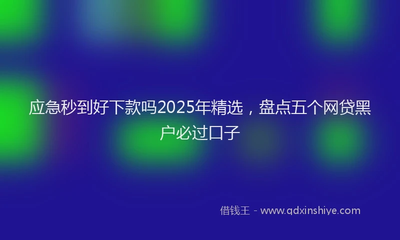 应急秒到好下款吗2025年精选，盘点五个网贷黑户必过口子