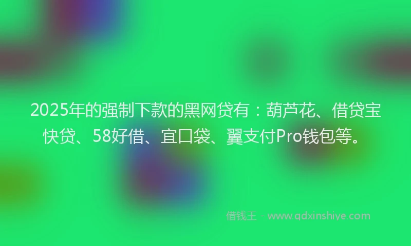 2025年的强制下款的黑网贷有：葫芦花、借贷宝快贷、58好借、宜口袋、翼支付Pro钱包等。