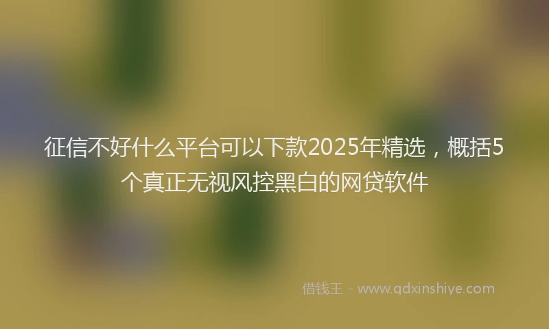 征信不好什么平台可以下款2025年精选，概括5个真正无视风控黑白的网贷软件