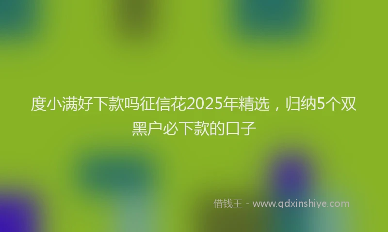 度小满好下款吗征信花2025年精选，归纳5个双黑户必下款的口子