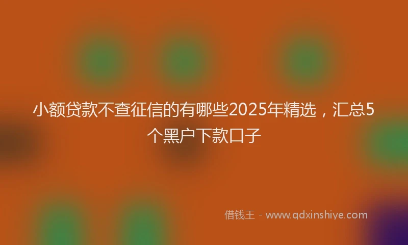 小额贷款不查征信的有哪些2025年精选，汇总5个黑户下款口子