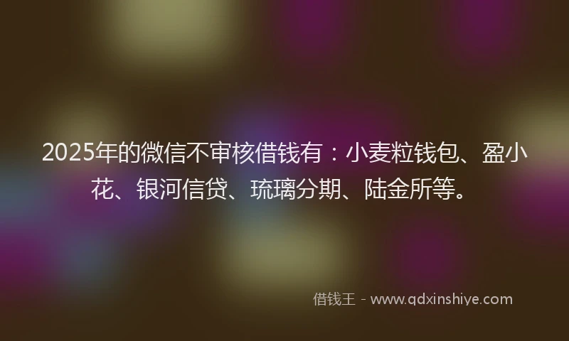 2025年的微信不审核借钱有：小麦粒钱包、盈小花、银河信贷、琉璃分期、陆金所等。