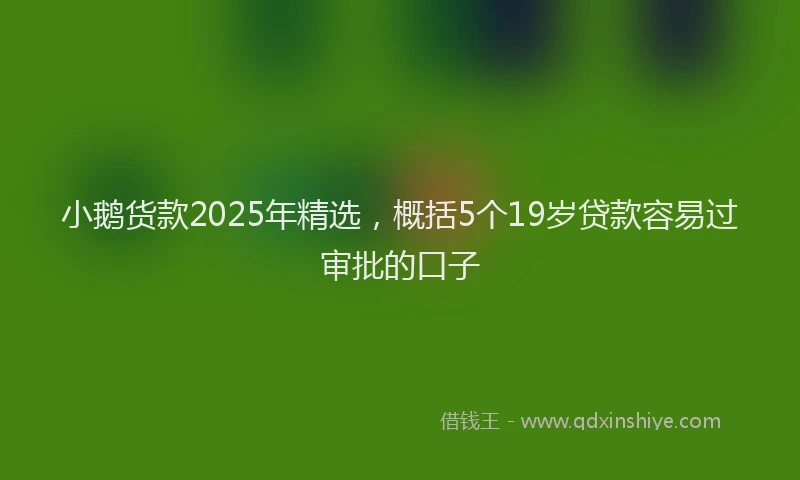小鹅货款2025年精选，概括5个19岁贷款容易过审批的口子