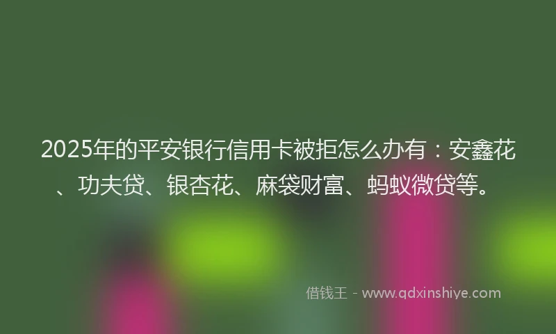 2025年的平安银行信用卡被拒怎么办有：安鑫花、功夫贷、银杏花、麻袋财富、蚂蚁微贷等。