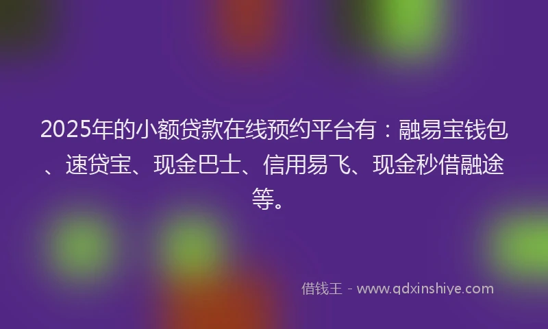 2025年的小额贷款在线预约平台有：融易宝钱包、速贷宝、现金巴士、信用易飞、现金秒借融途等。
