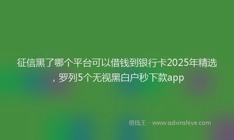 征信黑了哪个平台可以借钱到银行卡2025年精选，罗列5个无视黑白户秒下款app