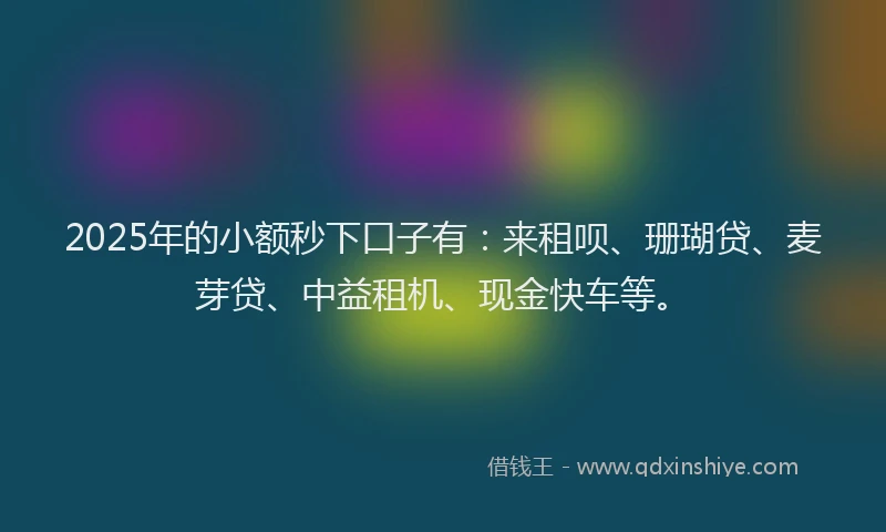 2025年的小额秒下口子有：来租呗、珊瑚贷、麦芽贷、中益租机、现金快车等。