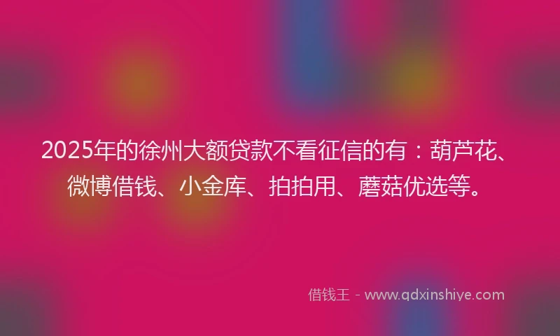 2025年的徐州大额贷款不看征信的有：葫芦花、微博借钱、小金库、拍拍用、蘑菇优选等。