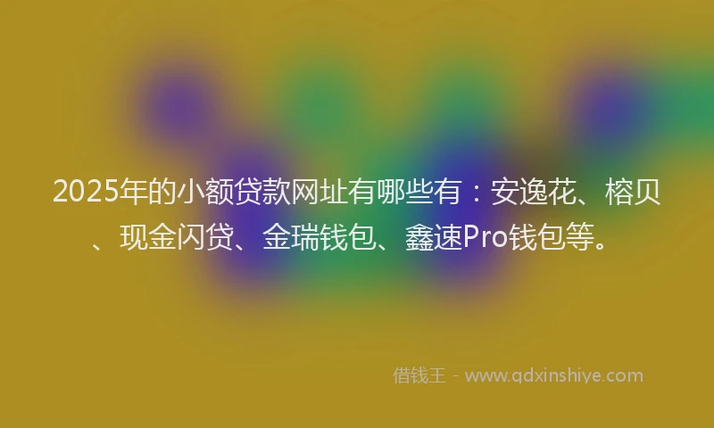 2025年的小额贷款网址有哪些有：安逸花、榕贝、现金闪贷、金瑞钱包、鑫速Pro钱包等。