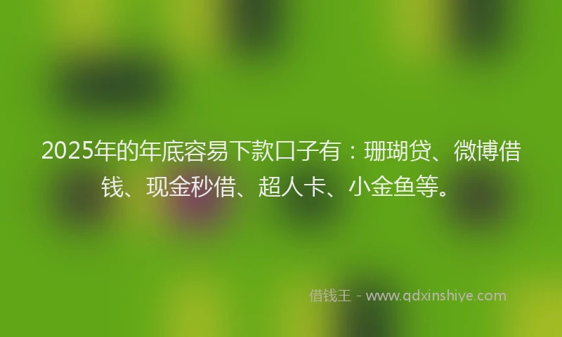 2025年的年底容易下款口子有：珊瑚贷、微博借钱、现金秒借、超人卡、小金鱼等。