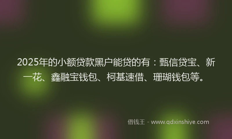 2025年的小额贷款黑户能贷的有：甄信贷宝、新一花、鑫融宝钱包、柯基速借、珊瑚钱包等。