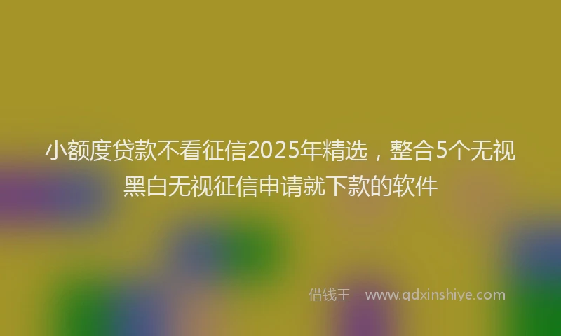 小额度贷款不看征信2025年精选，整合5个无视黑白无视征信申请就下款的软件