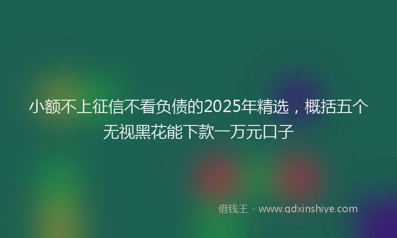小额不上征信不看负债的2025年精选，概括五个无视黑花能下款一万元口子