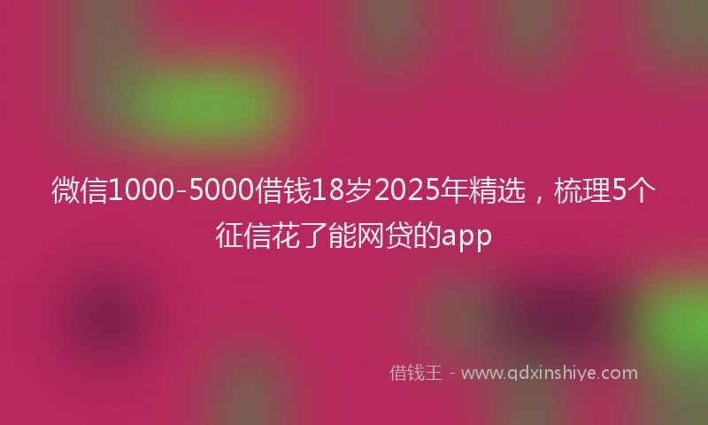 微信1000-5000借钱18岁2025年精选，梳理5个征信花了能网贷的app