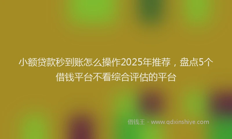 小额贷款秒到账怎么操作2025年推荐，盘点5个借钱平台不看综合评估的平台