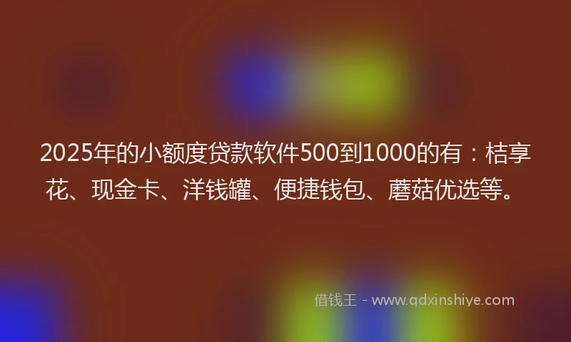 2025年的小额度贷款软件500到1000的有：桔享花、现金卡、洋钱罐、便捷钱包、蘑菇优选等。