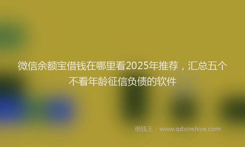 微信余额宝借钱在哪里看2025年推荐，汇总五个不看年龄征信负债的软件