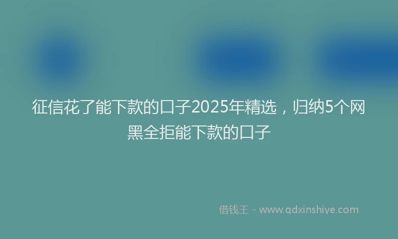 征信花了能下款的口子2025年精选，归纳5个网黑全拒能下款的口子