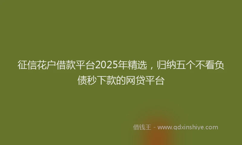 征信花户借款平台2025年精选，归纳五个不看负债秒下款的网贷平台