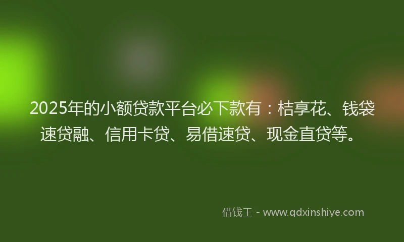 2025年的小额贷款平台必下款有：桔享花、钱袋速贷融、信用卡贷、易借速贷、现金直贷等。