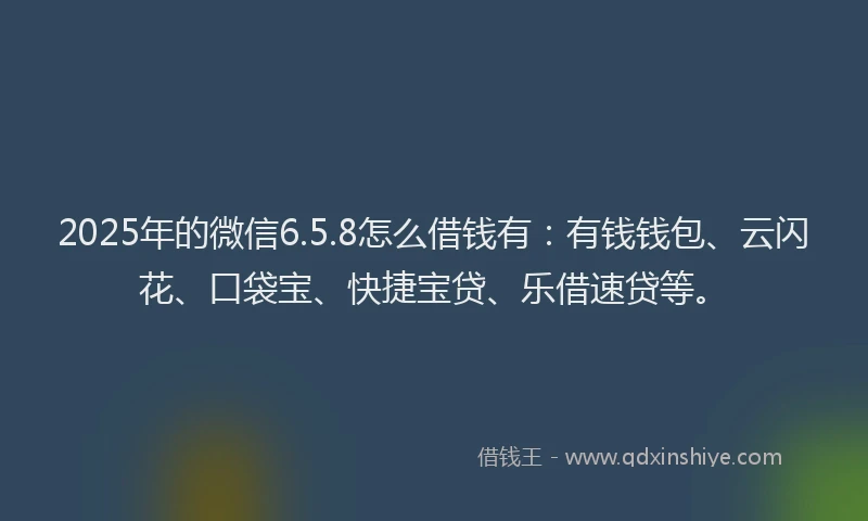 2025年的微信6.5.8怎么借钱有：有钱钱包、云闪花、口袋宝、快捷宝贷、乐借速贷等。