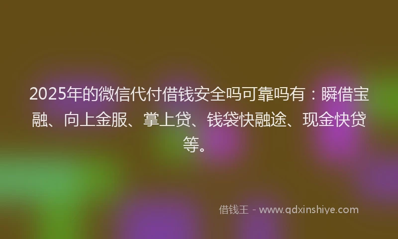 2025年的微信代付借钱安全吗可靠吗有：瞬借宝融、向上金服、掌上贷、钱袋快融途、现金快贷等。