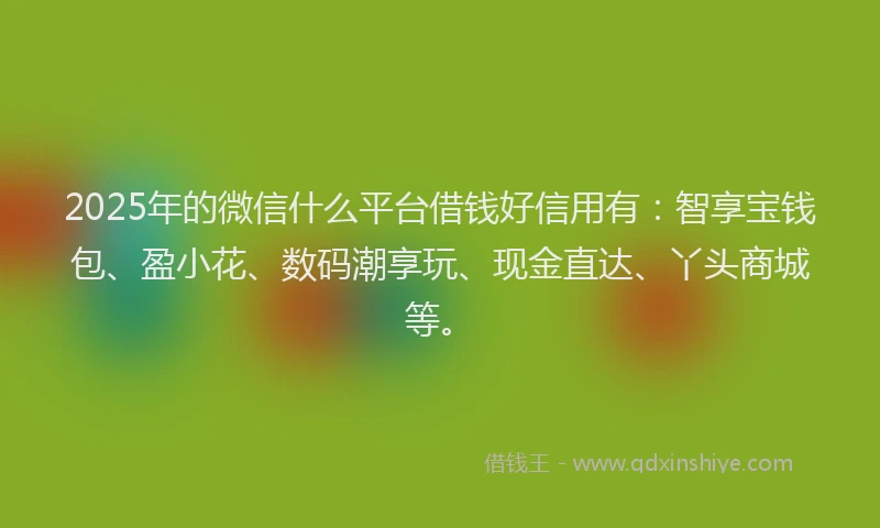 2025年的微信什么平台借钱好信用有：智享宝钱包、盈小花、数码潮享玩、现金直达、丫头商城等。