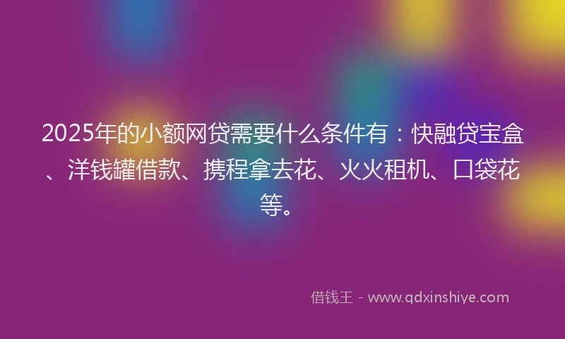 2025年的小额网贷需要什么条件有：快融贷宝盒、洋钱罐借款、携程拿去花、火火租机、口袋花等。